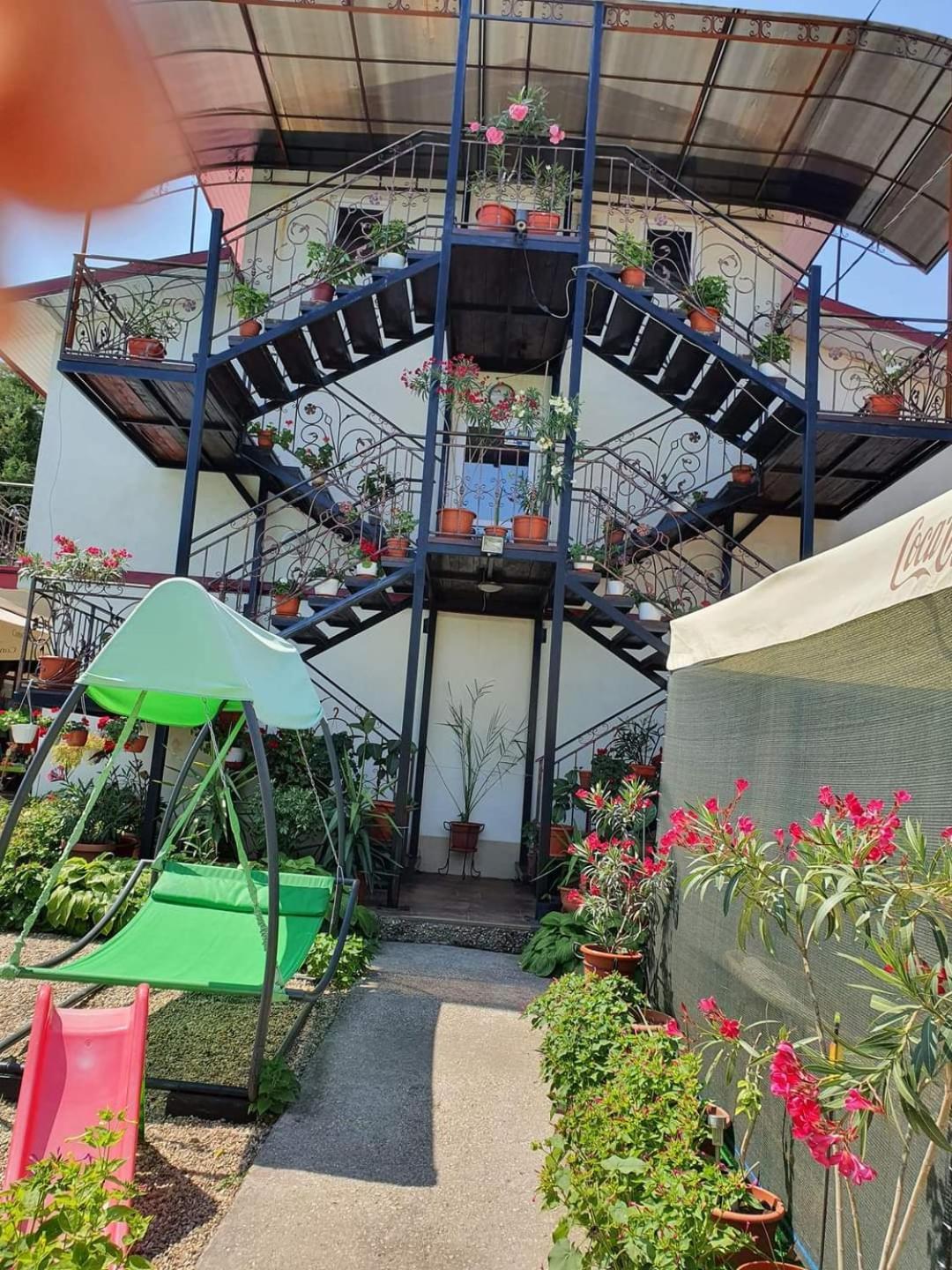 Vila Robert 호텔 Schitu 외부 사진